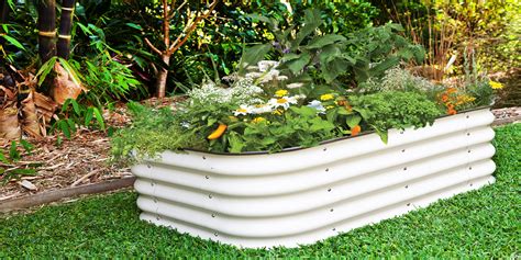 Get in on the best deals, new products and gardening tips. . Birdie raised beds